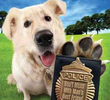 Cop Dog - O Cão Policial