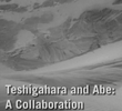 Teshigahara and Abe: A Collaboration