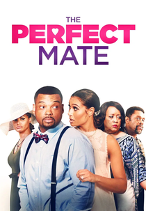 The Perfect Mate (The Perfect Mate)