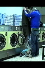 Things I notice, things you see (Things I notice, things you see)