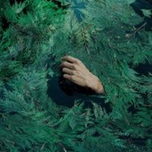 Foto de perfil de aleph