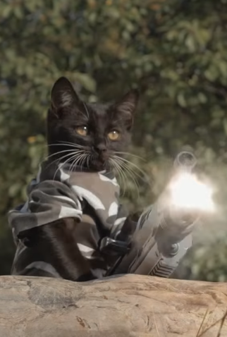 Poster 1 de Curta Gatos vs Zumbis (2015)