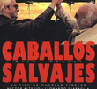 Cavalos Selvagens
