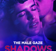 The Male Gaze: Shadows on Skin
