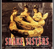 Snake Sisters