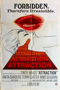 A Atração do Sexo - Poster / Capa / Cartaz - Oficial 3