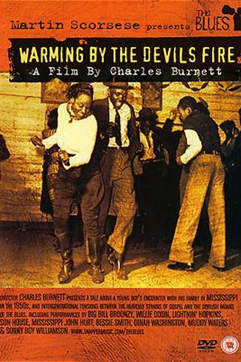 Poster de Filme The Blues - Warming by the Devil's Fire (2005)