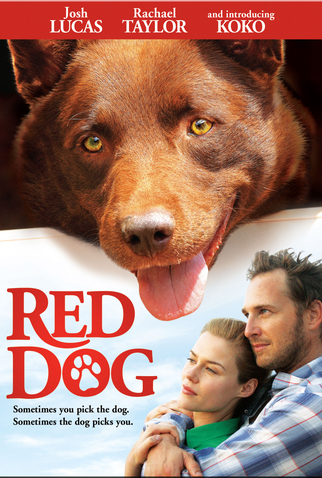 Poster 8 de Filme Cão Vermelho (2011)