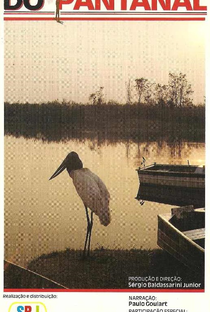 O Lado Desconhecido do Pantanal - Poster / Capa / Cartaz - Oficial 1