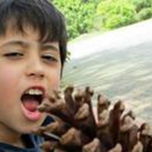 Foto de perfil de Vinicius