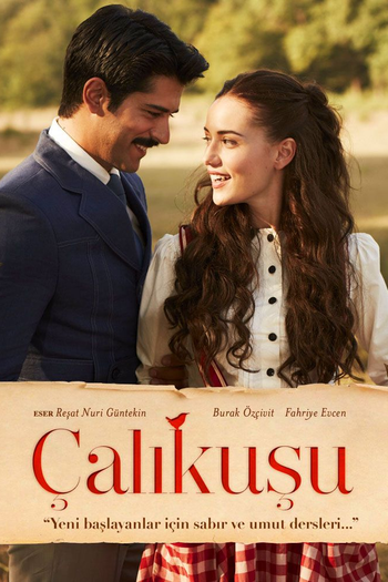  de Série Çalıkuşu (2013)