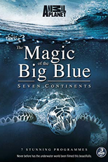 O Encanto do Azul Profundo (Magic of the Big Blue)