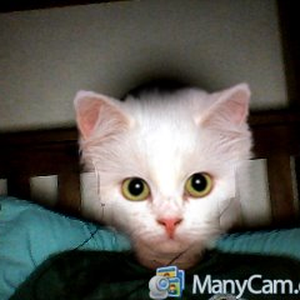 Foto de perfil de Eduardo