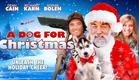A Dog for Christmas - Official Trailer (HD)