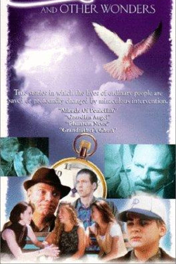 Poster de Série Milagres e Outros Fenômenos (1992)