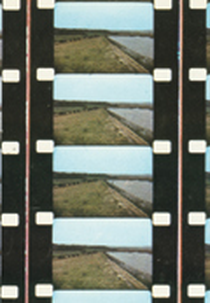 River Yar (River Yar)