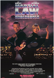 Leis Marciais 2 (Martial Law 2 - Undercover)