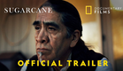 Sugarcane | Official Trailer | National Geographic Documentary Films