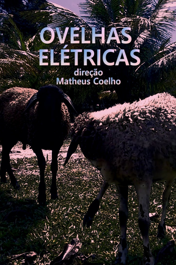  de Curta Ovelhas Elétricas (2015)