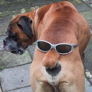 Foto de perfil de taub renits