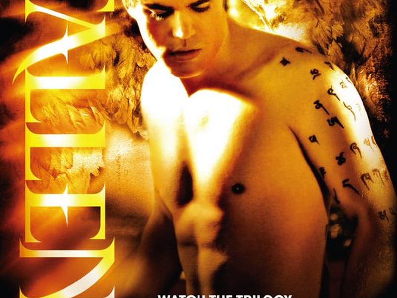 Foto 3 de Anjos Caídos