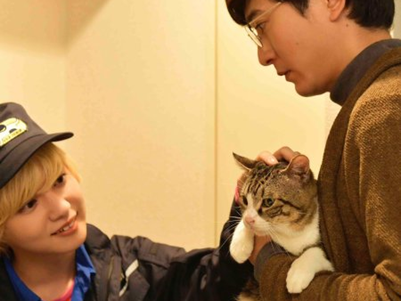 Foto 39 de Cherry Magic!