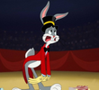 Ringmaster Disaster