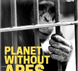 Planet Without Apes