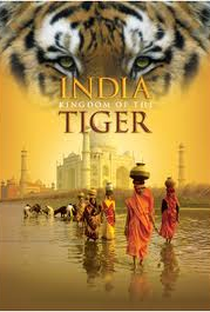 India: O Reino do Tigre - Poster / Capa / Cartaz - Oficial 1
