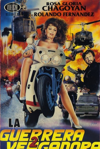 Poster 1 de Filme La Guerrera Vengadora 2 (1991)
