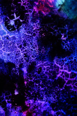 Elementary Phrases (Elementary Phrases)