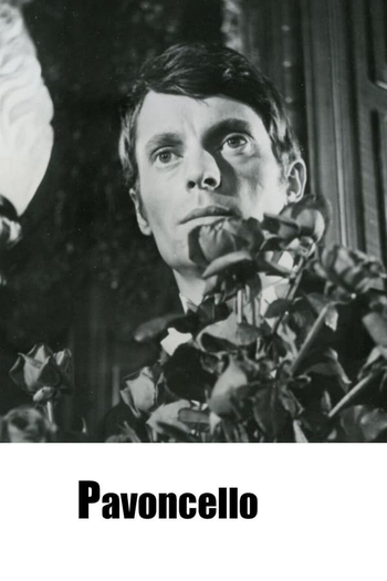 Poster de Curta Pavoncello (1967)