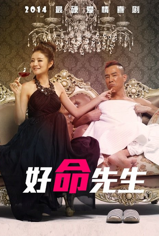 Poster 1 de Filme Mr. Lucky (2014)