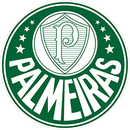 Foto de perfil de Paulo