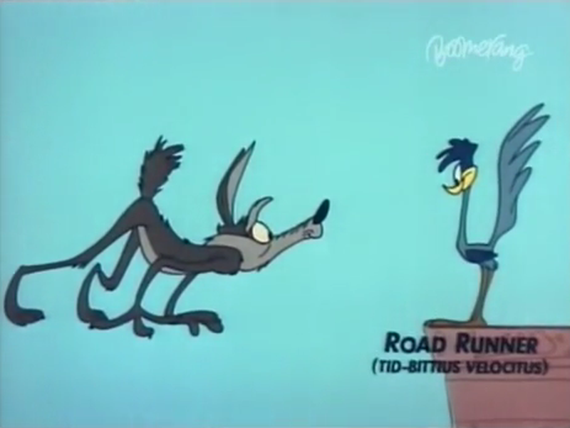 Foto 6 de Beep Prepared