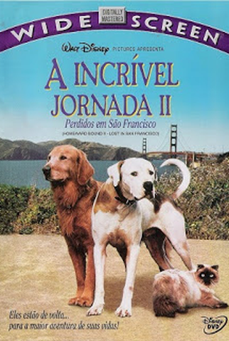 Poster 4 de Filme A Incrível Jornada II: Perdidos em São Francisco (1996)
