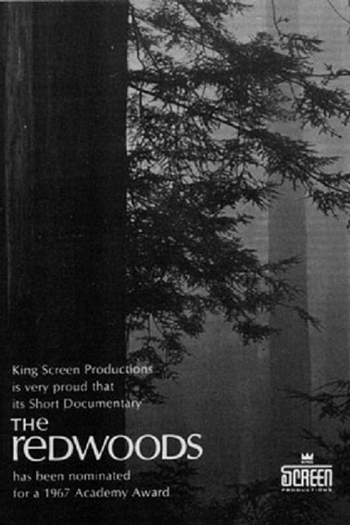 Poster de Curta The Redwoods (1967)