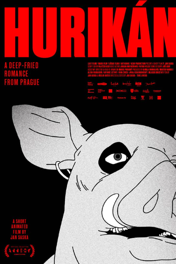 Poster de Curta Hurikán (2024)