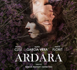 Ardara