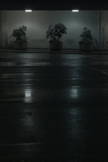 Night Swells (Night Swells)
