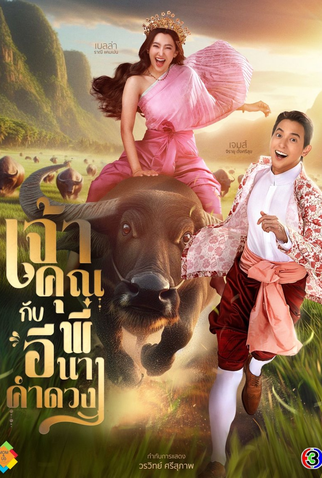 Poster 1 de Série My Sassy Wedding (2025)