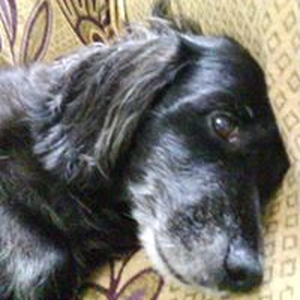 Foto de perfil de Graciela