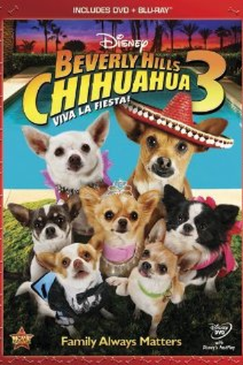  de Filme Perdido Pra Cachorro 3 (2012)