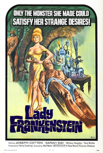 A Mulher de Frankenstein - Poster / Capa / Cartaz - Oficial 3