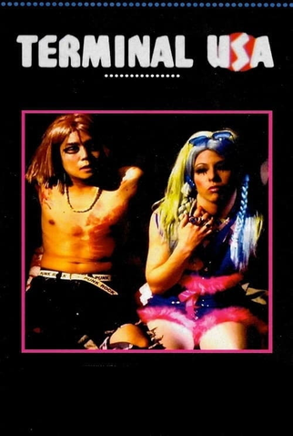 Poster 1 de Filme Terminal USA (1993)