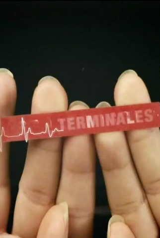 Poster 1 de Série Terminales (2008)