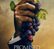 Promised Land (2022)