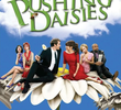 Pushing Daisies (2ª Temporada)