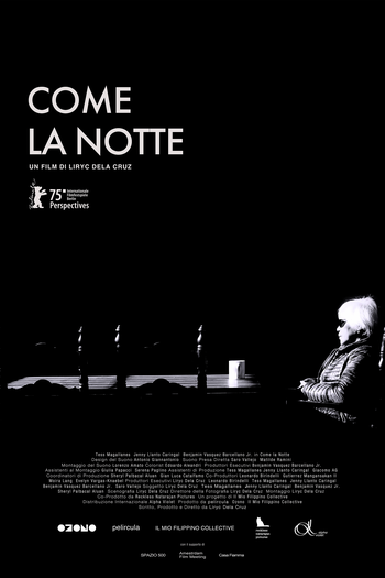 Poster de Filme Onde a Noite Permanece (2025)