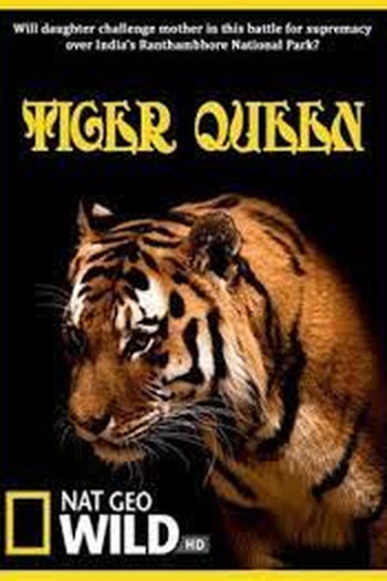 Poster de TV Tiger Queen (2010)